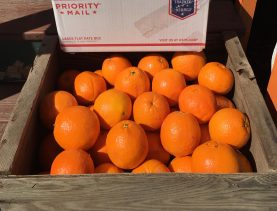 holiday oranges — Edgewood Farmhouse